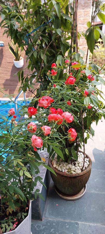 Riverlife Homestay Hoi An Exterior foto